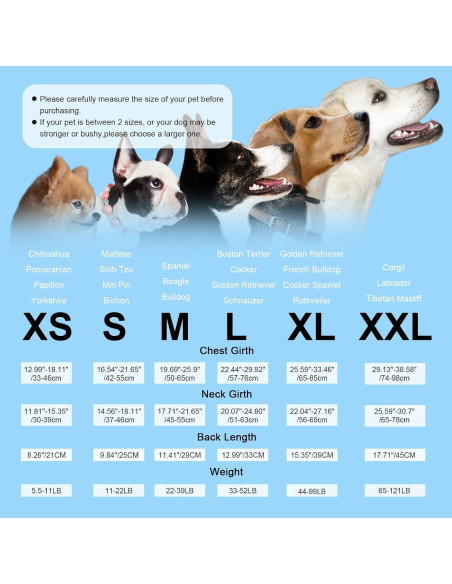 Chaleco Salvavidas para Perros ASENKU Azul XS - Seguridad y Flotación