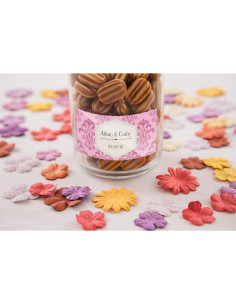 Rollo de Etiquetas Brother CZ-1005 50 mm x 5 m ZINK 2