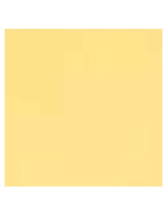 Filtro de Gel de Corrección de Color Naranja 40x50 cm 4 Piezas 1/4 CTO