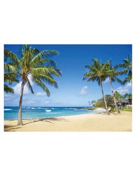 Fondo de Fotografía Vinilo Yeele 3x2.5m Playa Tropical