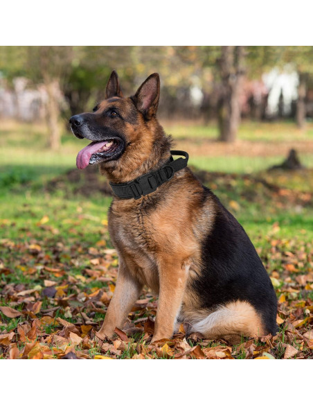 Collar Táctico para Perros Periflowin - Nylon Militar Ajustable Mediano Negro Collar Táctico para Perros Periflowin - Nylon Militar Ajustable Mediano Negro