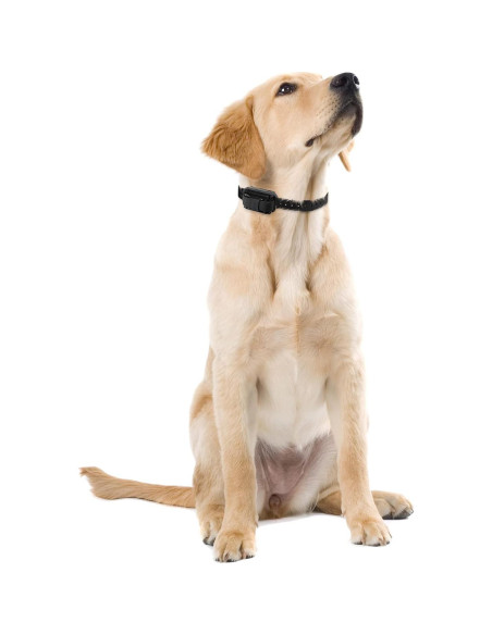 Puntos de Contacto Educator para Collares de Entrenamiento 2 Unidades Puntos de Contacto Educator para Collares de Entrenamiento 2 Unidades