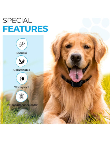 Correa de Reemplazo Bungee Gracie To The Rescue 2.54 cm Negro