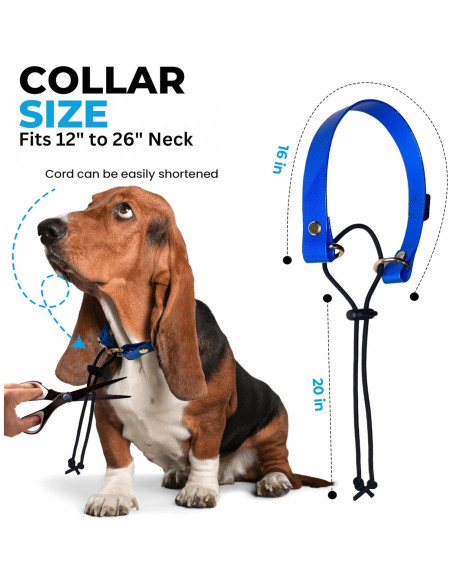 Correa de Reemplazo Bungee Gracie To The Rescue 2.54 cm Negro Correa de Reemplazo Bungee Gracie To The Rescue 2.54 cm Negro