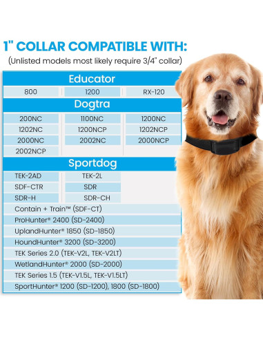 Correa de Reemplazo Bungee Gracie To The Rescue 2.54 cm Negro