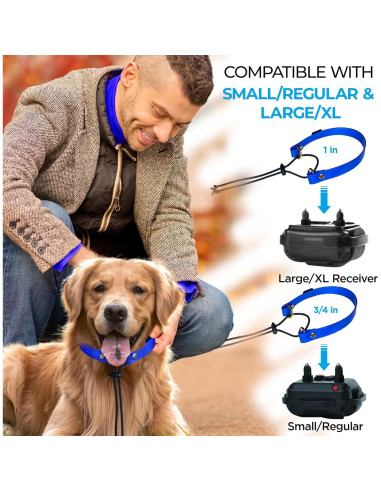 Correa de Reemplazo Bungee Gracie To The Rescue 2.54 cm Negro