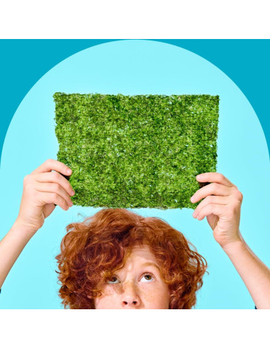 Hojas de Algas Sushi Nori Orgánico gimMe 12 Paquetes 275.7g