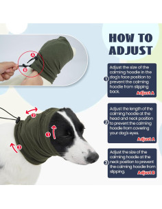 Sudadera Calmante para Perros Nanaki Verde - Snood Ajustable 2