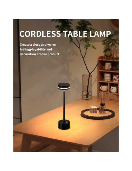 Juego de 2 Lámparas de Mesa Inalámbricas LED RH RUIVAST