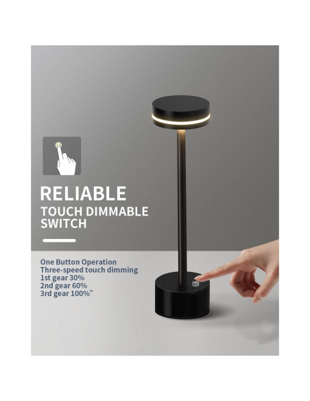 Juego de 2 Lámparas de Mesa Inalámbricas LED RH RUIVAST