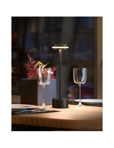 Juego de 2 Lámparas de Mesa Inalámbricas LED RH RUIVAST