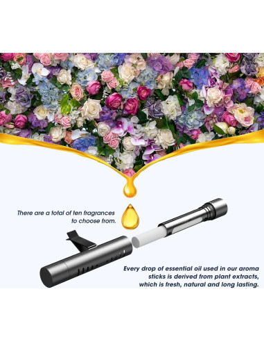 Ambientador de Auto RoyAroma con 10 Varitas Aromáticas y Clips