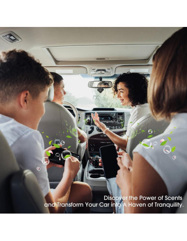 Ambientador de Auto RoyAroma con 10 Varitas Aromáticas y Clips