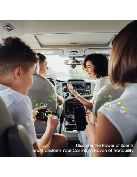 Ambientador de Auto RoyAroma con 10 Varitas Aromáticas y Clips Ambientador de Auto RoyAroma con 10 Varitas Aromáticas y Clips