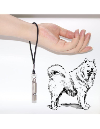 Silbato de Emergencia PENGART de Titanio Cuadrado 120dB