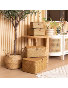 Cestas de Almacenamiento YANGQIHOME 4 Piezas Mimbre Natural 2