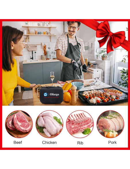 Jeringa de Inyección de Carne Ofargo 2 oz con 4 Agujas y Estuche