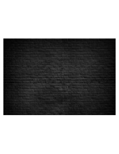 Fondo de Fotografía 12x10ft DORCEV Ladrillo Negro Vintage