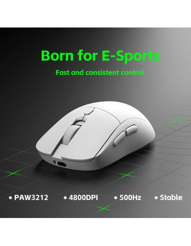 Ratón Gaming Inalámbrico LORERAN RGB 4800DPI Ergonómico