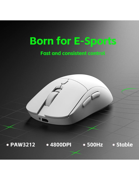 Ratón Gaming Inalámbrico LORERAN RGB 4800DPI Ergonómico