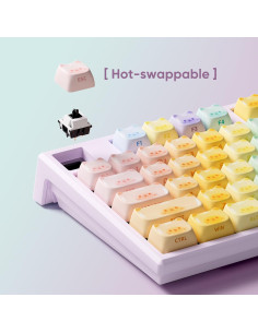 Teclado Mecánico Akko MG108B Gatos Coloridos Hot-Swappable 2