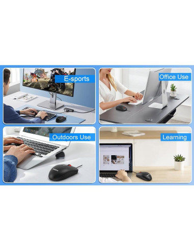 Ratón Óptico Ergonómico con Cable Leegicst M102 USB Negro