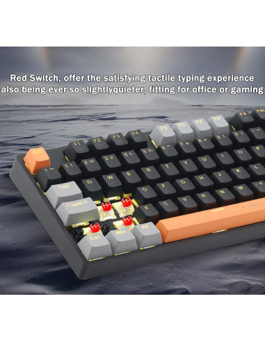 Teclado Mecánico E-YOOSO Z-14 Interruptores Rojos 104 Teclas