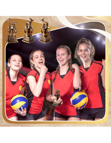 Trofeo Cabra Humorístico WinnerWhy 19.1x10.2cm Resina