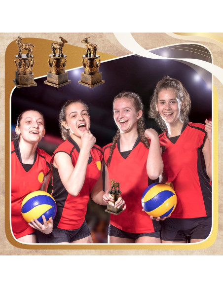 Trofeo Cabra Humorístico WinnerWhy 19.1x10.2cm Resina