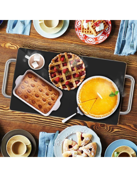 Bandeja Calentadora Eléctrica Nutrichef 36.8x21.8cm Vidrio Templado