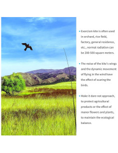 Cometa Ahuyentadora de Aves eyijklzo QN-HN 4m Nylon 2