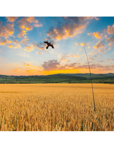 Cometa Ahuyentadora de Aves eyijklzo QN-HN 4m Nylon