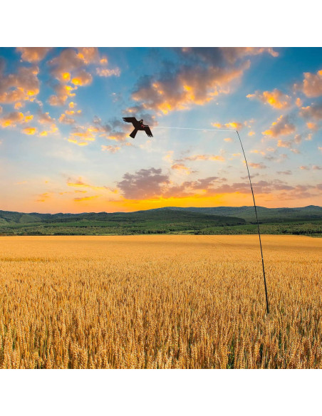 Cometa Ahuyentadora de Aves eyijklzo QN-HN 4m Nylon