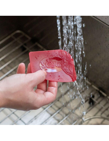 Parrilla Plancha Reversible Lodge LDP3 24.1x42.5cm + Raspadores