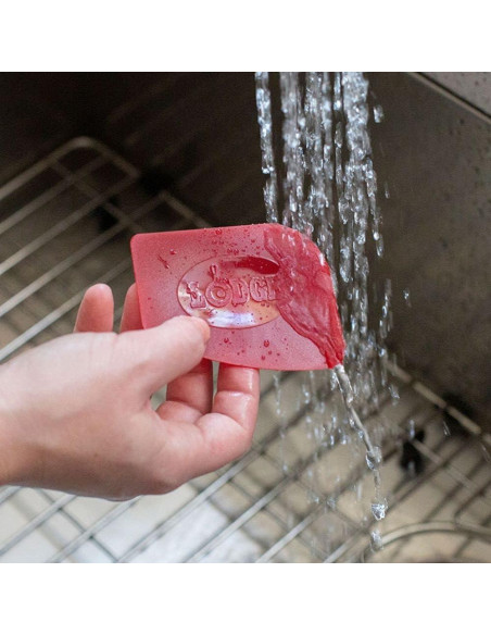 Parrilla Plancha Reversible Lodge LDP3 24.1x42.5cm + Raspadores