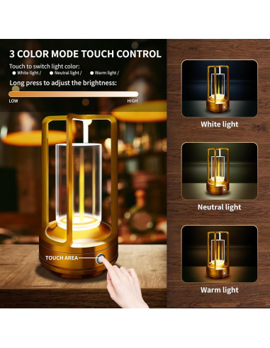 Lámpara de Mesa Portátil LAYSHINEEN 4000 mAh LED Regulable