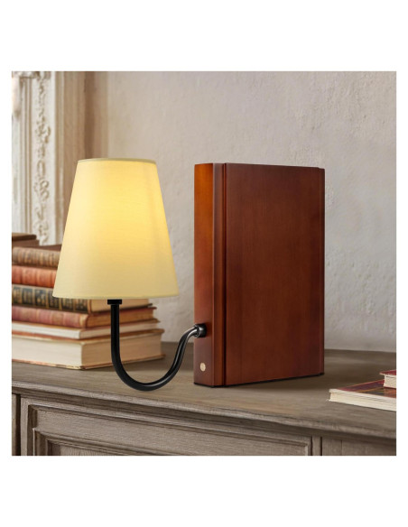 Lámpara de Estante de Libros AELS con Bombilla LED 35x25cm
