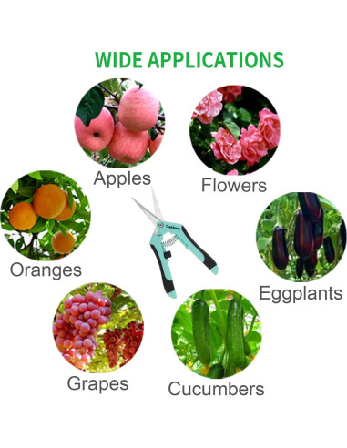 3 Tijeras de Podar TOOLTENG Azul, Cuchilla Recta, Ergonomía