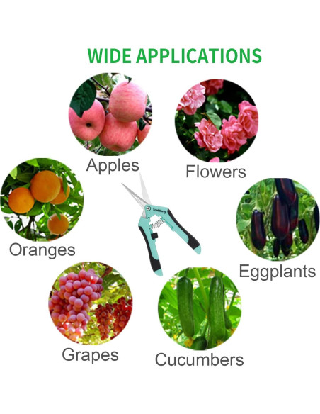 3 Tijeras de Podar TOOLTENG Azul, Cuchilla Recta, Ergonomía