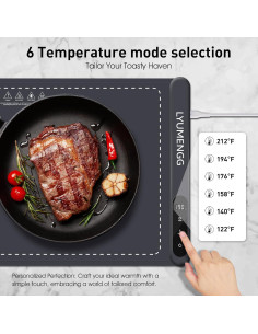 Calentador de Comida YUMENGG 500W Grafeno 61x41cm Portátil 2