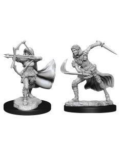Miniaturas Nolzur D&D Genasi del Aire Femenina Sin Pintar