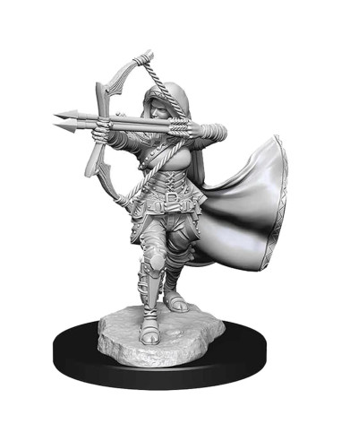 Miniaturas Nolzur D&D Genasi del Aire Femenina Sin Pintar