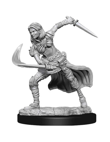 Miniaturas Nolzur D&D Genasi del Aire Femenina Sin Pintar