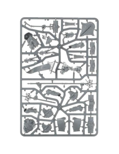 Miniatura Warhammer Age of Sigmar Avalenor Rey de la Piedra