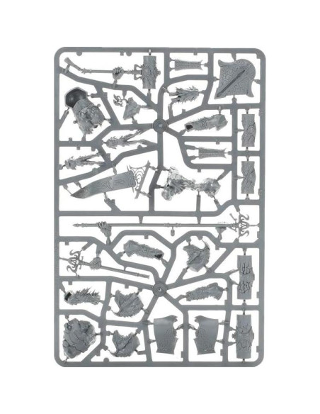 Miniatura Warhammer Age of Sigmar Avalenor Rey de la Piedra