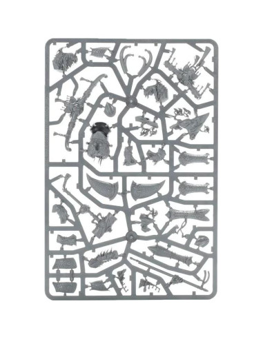 Miniatura Warhammer Age of Sigmar Avalenor Rey de la Piedra