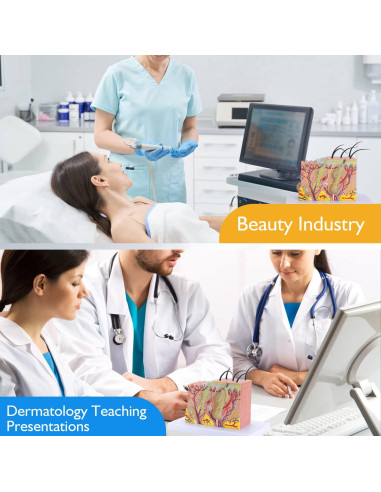 Modelo Anatómico de Piel Humana 35x Faruijie 20x12x12 cm