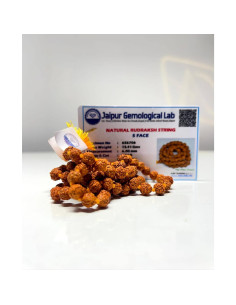 Mala de Rudraksha 5 Mukhi Certificada 108+1 Cuentas 5mm 2