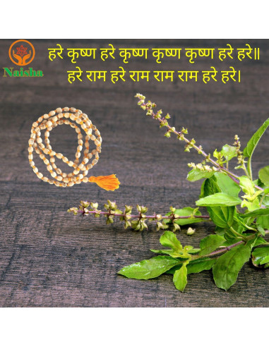 Paquete de 3 Malas de Oración NAISHA: Tulsi, Kamal Gatta y Vaijanti