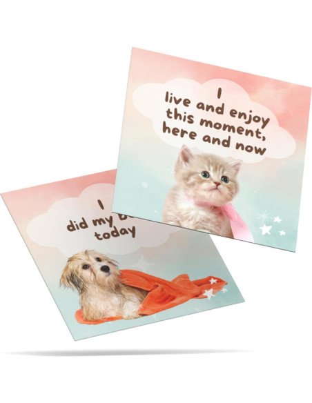 Tarjetas de Afirmación Impermeables Catchyourdreams - 50 Mensajes Positivos